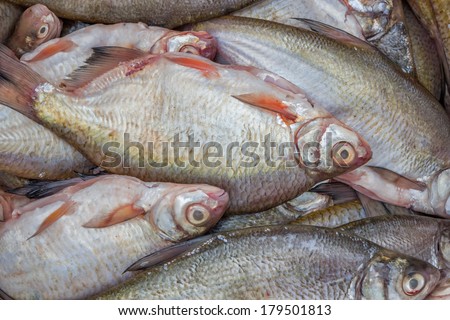 cleaned fish for sale, fish background. bream (abramis brama)
