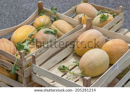 Farmers market and melons in a wooden crates. At the farmers market local growers come and sell their freshly picked crops at reasonable prices. Selective focus.