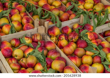 Farmers market nectarines in a wooden crates. At the farmers market local growers come and sell their freshly picked crops at reasonable prices. Selective focus.