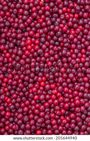 Farmers market sour cherry background. At the farmers market local growers come and sell their freshly picked crops at reasonable prices. Selective focus.