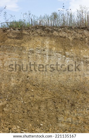 Cross section of dirt, dirt background after working excavator