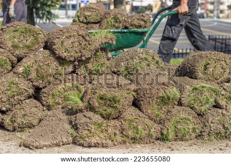 Heap of sod rolls for installing new lawn and worker pushing wheelbarrow with rolls of sod in background. Selective focus.