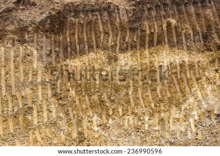 yellow and brown dirt texture background, with small rocks and dust. Excavation dirt texture exposed.