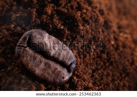 Coffee bean on the ground coffee