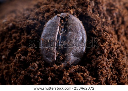 Coffee bean on the ground coffee