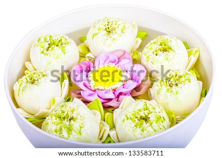 Bring a cup of water and then placed in a cup of lotus flower arrangement