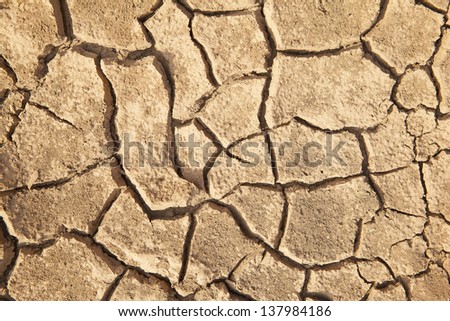 Prod soil cracks caused by drought.