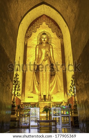 BAGAN, MYANMAR - NOVEMBER 30: Standing Buddha Kassapa at south facing part of the Ananda temple adorned by believers by sticking golden leaves on statue on NOVEMBER 30, 2013 in Bagan, Myanmar.
