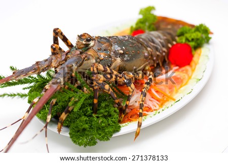 Live lobster dish white white background.