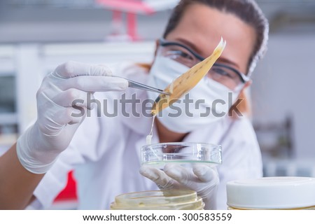 Scientists are conducting experiments in the life science research laboratory.