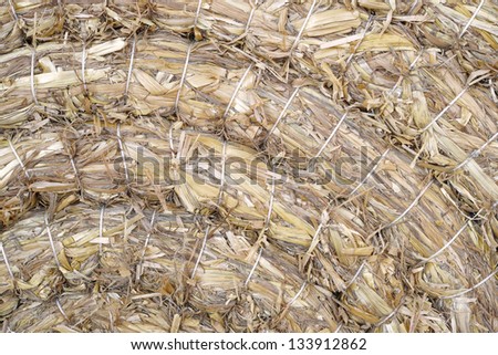 detail of tied and pressed straw
