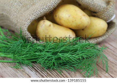 Fresh dill and new potatoes in jute bag
