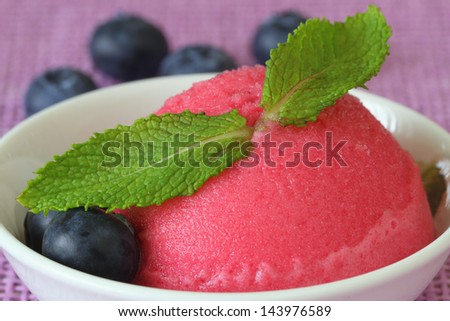 Forest fruit sorbet with fresh blueberries, close up