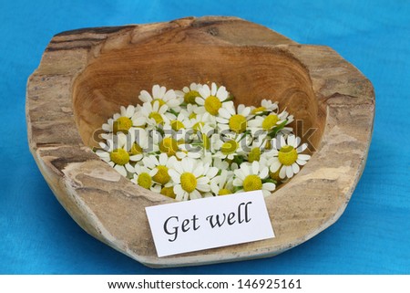 Get well card on teak root bowl with fresh chamomile flowers