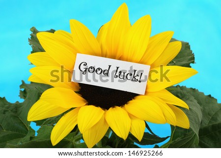 Good luck card on sunflower