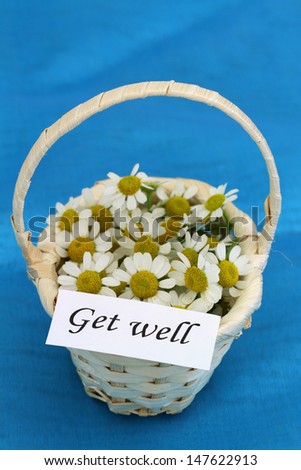 Get well card on mini wicker basket full of chamomile flowers
