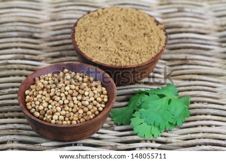 Coriander seeds, coriander powder and fresh coriander on wicker surface