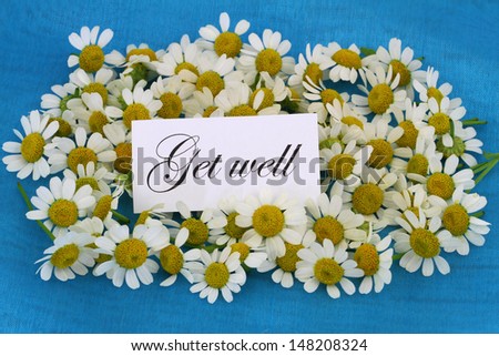 Get well card with chamomile flowers on blue background