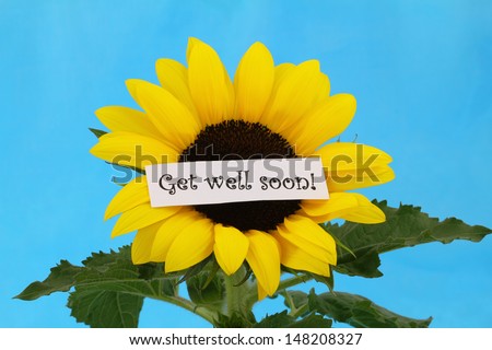 Get well soon note on sunflower