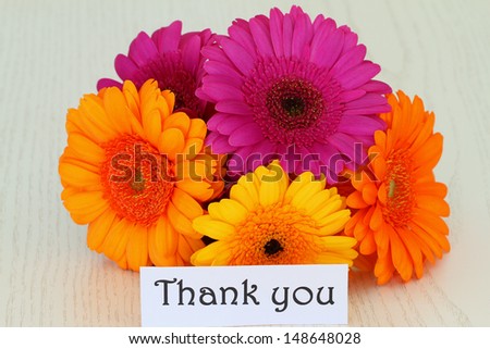 Thank you note with colorful gerbera daisies