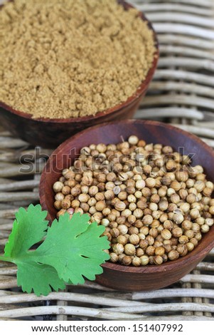 Coriander seeds, coriander powder and fresh coriander on wicker surface