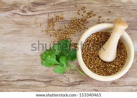 Coriander seeds in mortar and fresh coriander leaves with copy space