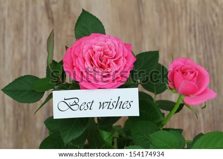 Best wishes card with wild pink roses