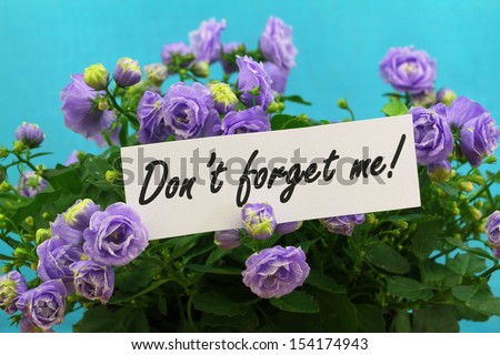 Don\'t forget me card with purple campanula flowers