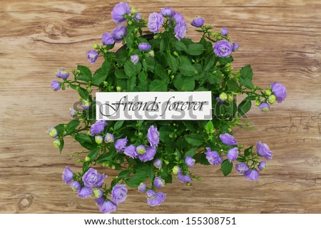 Friends forever card with purple campanula flowers