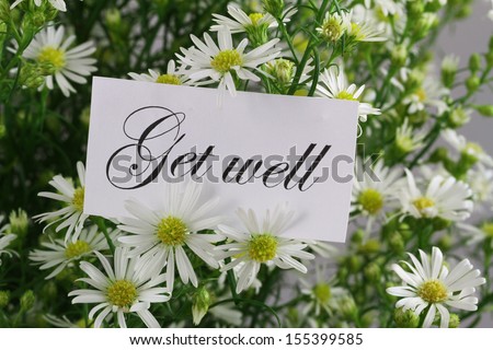 Get well card with fresh chamomile flowers