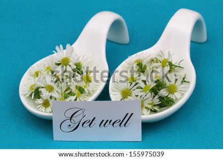 Get well card with fresh chamomile flowers on blue background