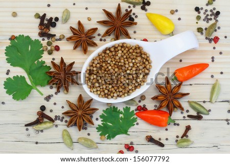 Coriander seeds with selection of Indian spices