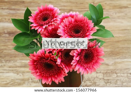 No worries card with dark pink gerbera daisies