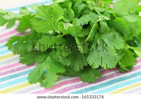 Fresh coriander leaves on colorful cloth