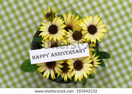 Happy Anniversary card with yellow daisies
