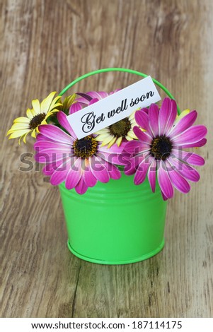 Get well card with colorful daisy flowers in green bucket on wooden surface