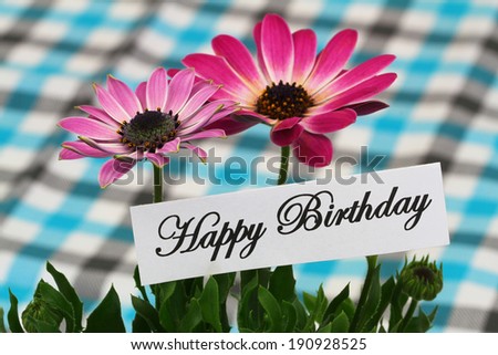 Happy birthday card with pink gerbera daisies