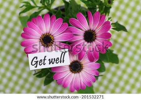 Get well card with pink gerbera daisies