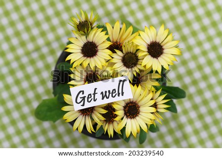 Get well card with yellow daisies on checkered surface