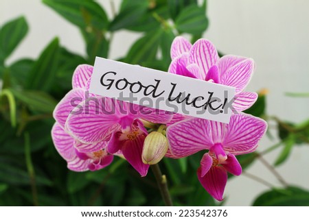 Good luck card with pink orchids