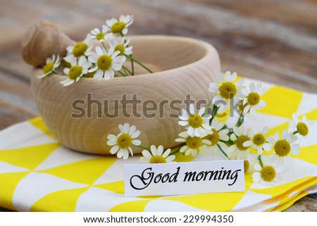Good morning card with fresh chamomile flowers