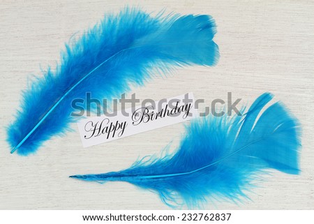 Happy birthday card with two blue feathers