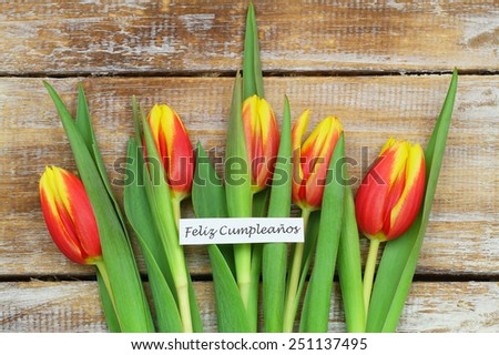Feliz cumpleanos (which means happy birthday in Spanish) card with red tulips on rustic wood