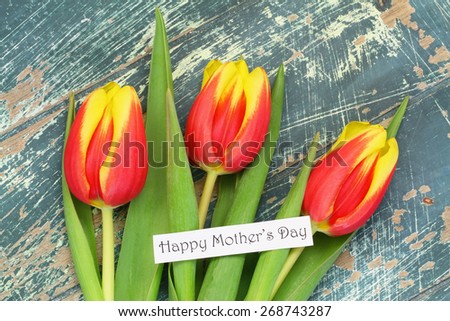 Happy Mother's day card with red and yellow tulips