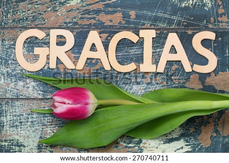 Gracias (which means thank you in Spanish) written with wooden letters, and tulip