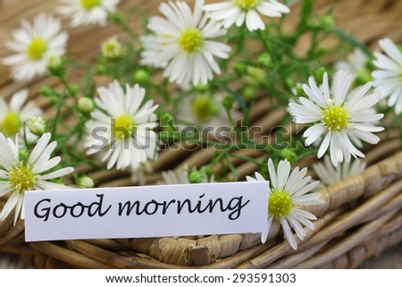 Good morning card with chamomile flowers, closeup