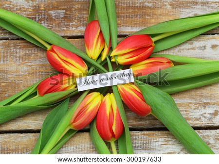 Have a  nice day card with red and yellow tulips