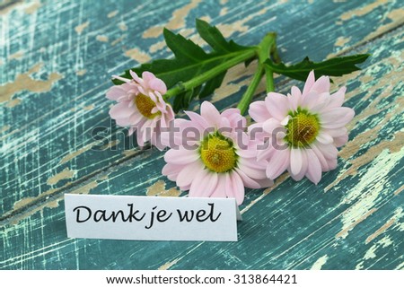 Dank je wel (which means thank you in Dutch) with pink daisies on rustic wooden surface
