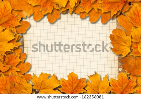 Bright fallen autumn leaves on the old paper background