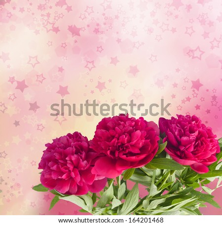 Beautiful bouquet of pink peonies on the abstract background with bokeh effect